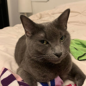 Meet your Posher, Charissa